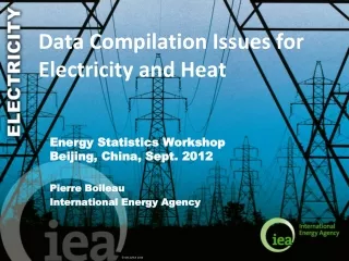 Data Compilation Issues for Electricity and Heat
