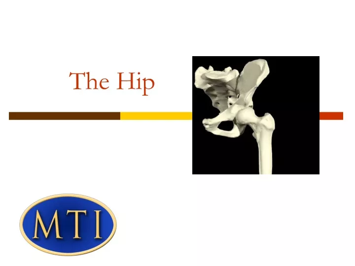 the hip