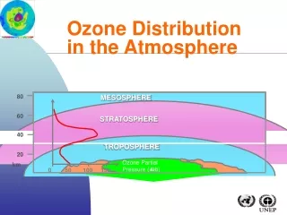 Ozone Distribution in the Atmosphere