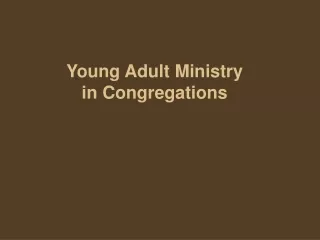 Young Adult Ministry in Congregations