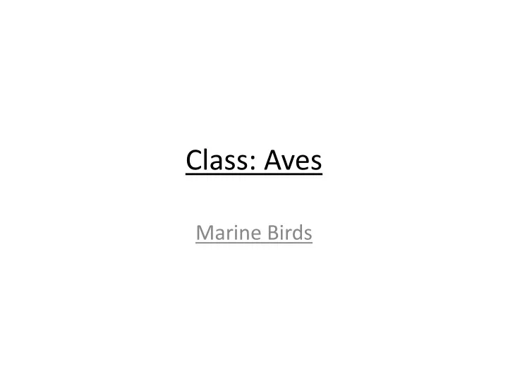 class aves