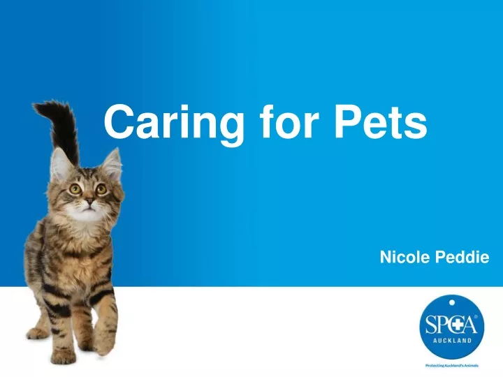 caring for pets