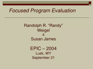 Focused Program Evaluation