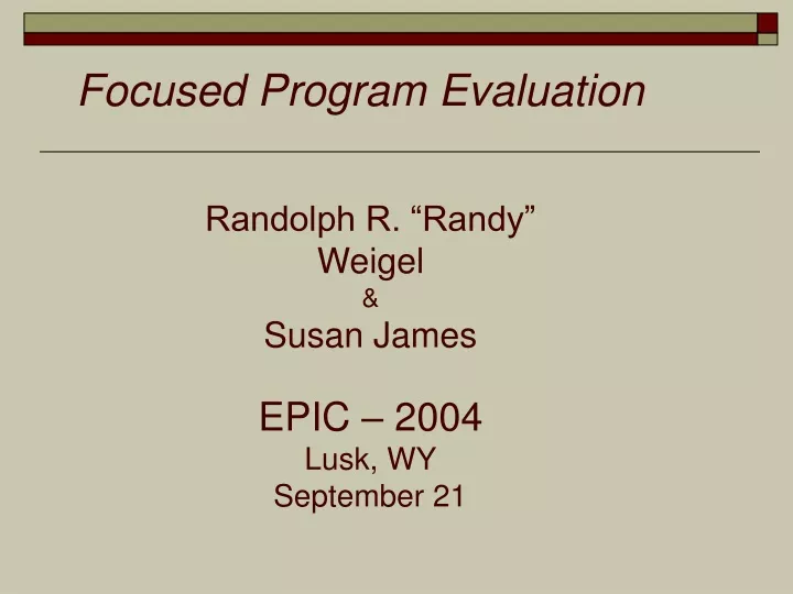 focused program evaluation