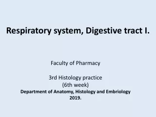 Respiratory system, Digestive tract I.