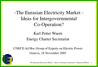 The Eurasian Electricity Market -  Ideas for Intergovernmental  Co-Operation?