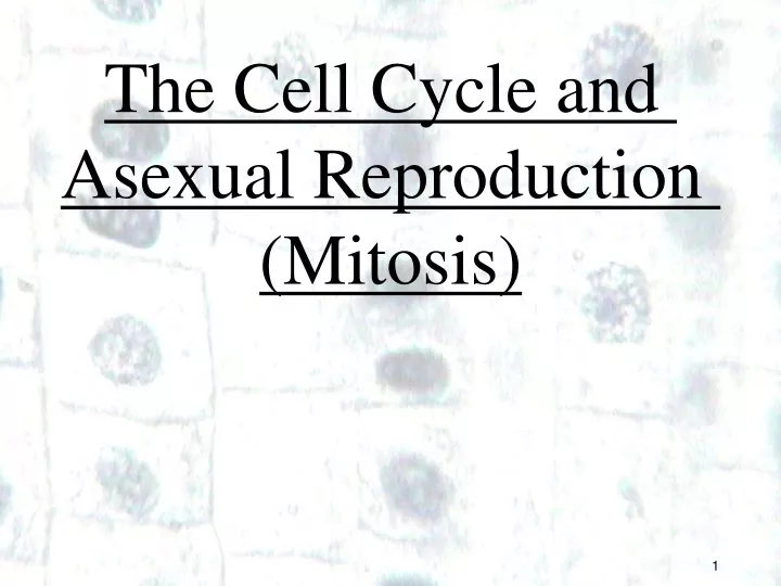 the cell cycle and asexual reproduction mitosis