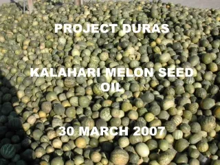 PROJECT DURAS KALAHARI MELON SEED OIL 30 MARCH 2007