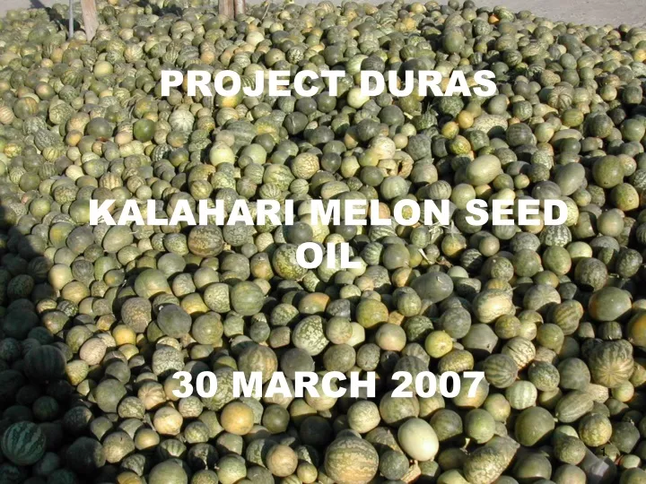 project duras kalahari melon seed oil 30 march 2007