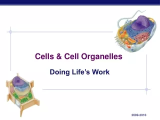 Cells &amp; Cell Organelles