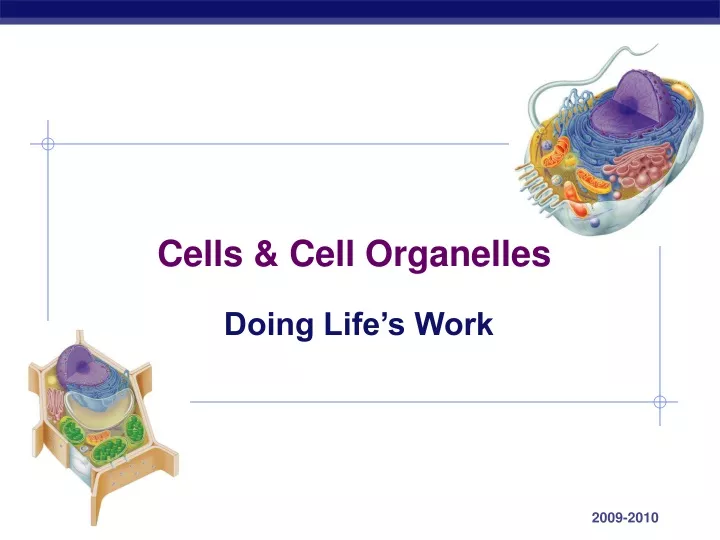 cells cell organelles
