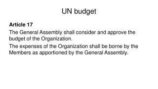 UN budget