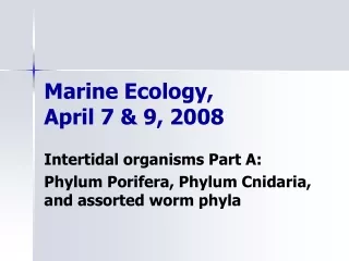 Marine Ecology,  April 7 &amp; 9, 2008