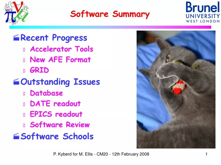 software summary