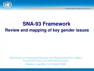 SNA-93 Framework