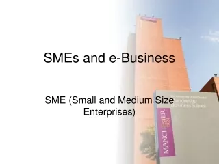 SMEs and e-Business