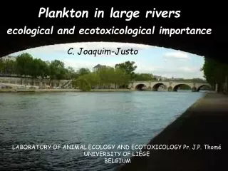 Plankton in large rivers  ecological and ecotoxicological importance