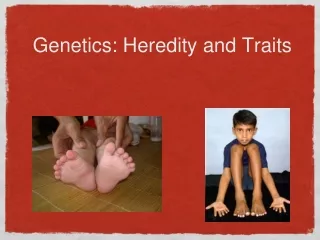 Genetics: Heredity and Traits