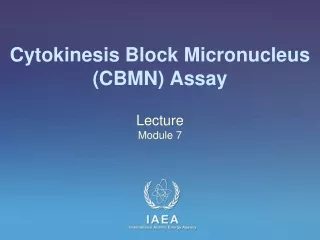 Cytokinesis Block Micronucleus (CBMN) Assay
