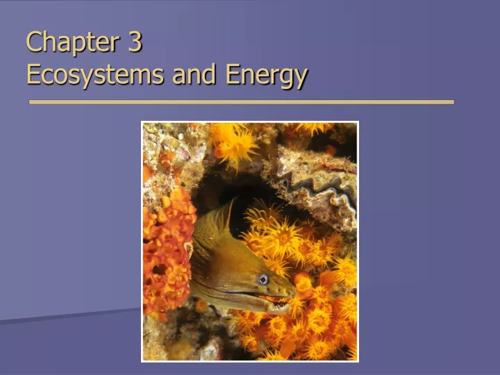 chapter 3 ecosystems and energy