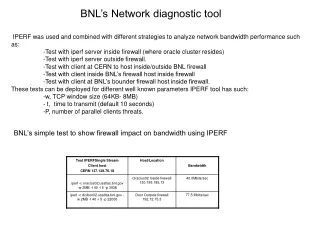 BNL’s Network diagnostic tool