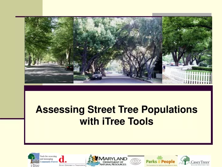 assessing street tree populations with itree tools