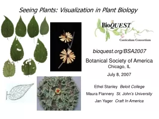 bioquest/BSA2007 Botanical Society of America Chicago, IL July 8, 2007