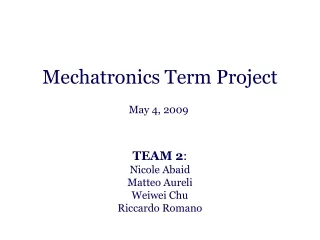 Mechatronics Term Project