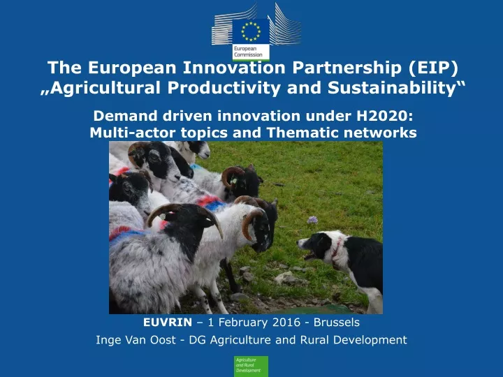the european innovation partnership