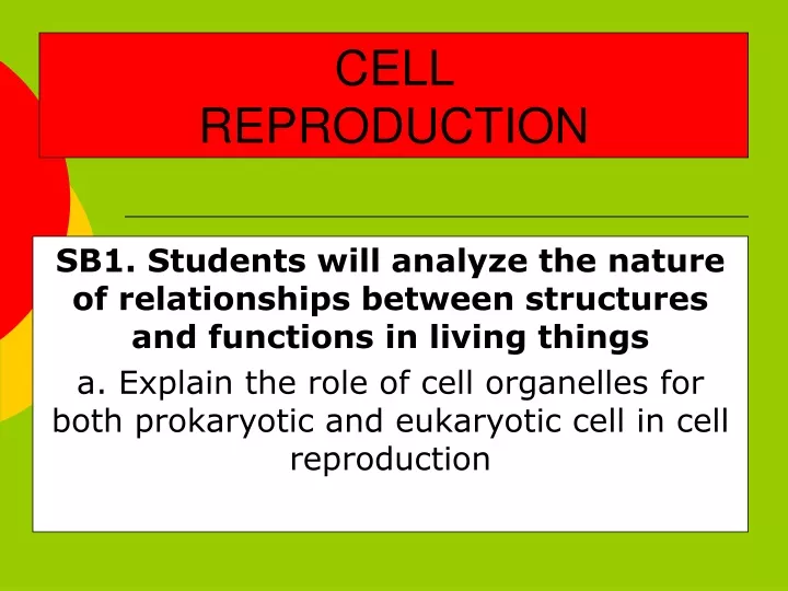 cell reproduction