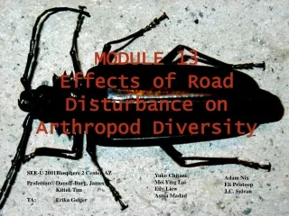 MODULE 13 Effects of Road Disturbance on Arthropod Diversity