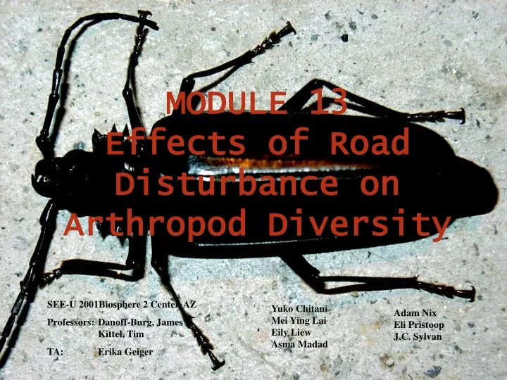 module 13 effects of road disturbance on arthropod diversity