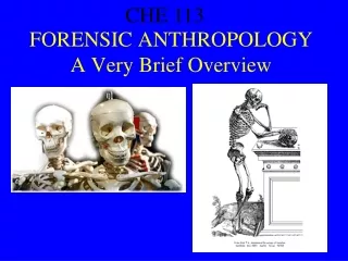 FORENSIC ANTHROPOLOGY A Very Brief Overview