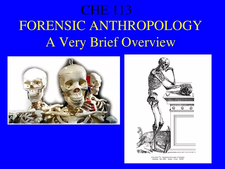 forensic anthropology a very brief overview