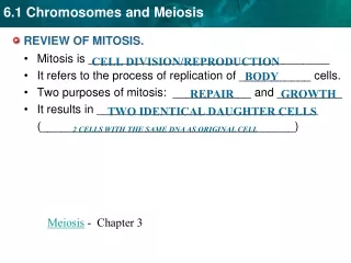 REVIEW OF MITOSIS.