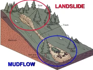 LANDSLIDES VS. MUDFLOWS