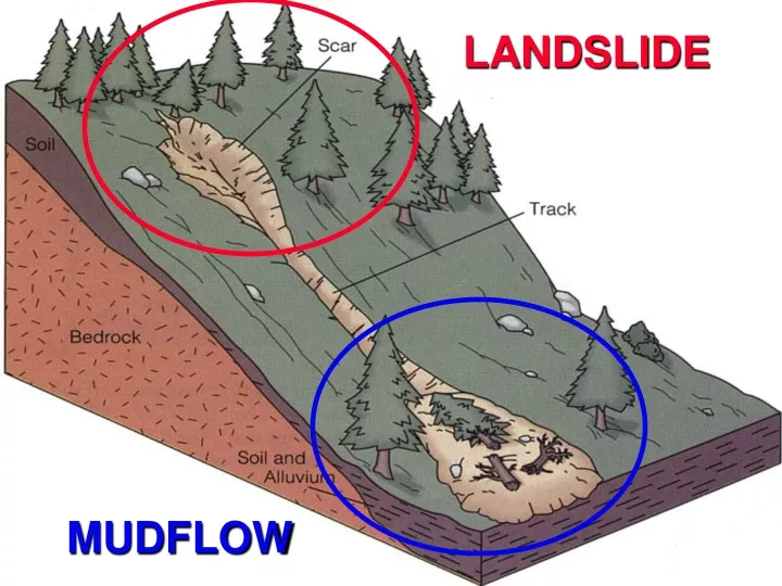 landslides vs mudflows