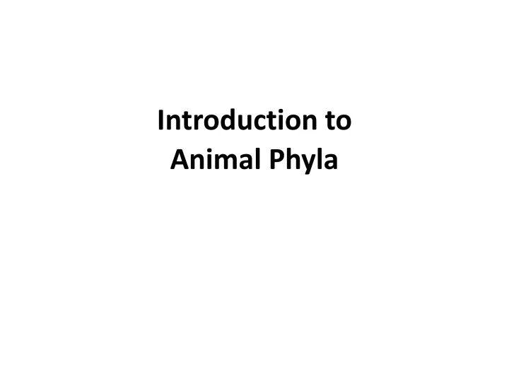 introduction to animal phyla