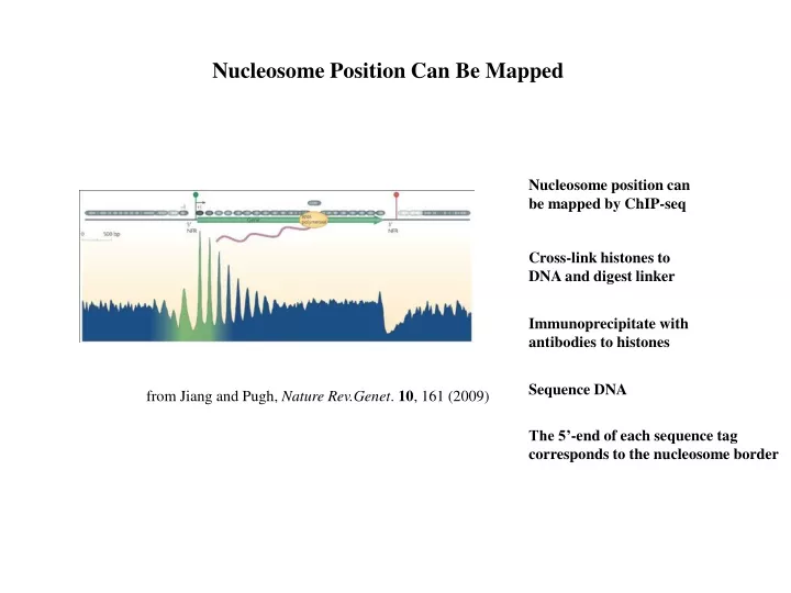 nucleosome position can be mapped