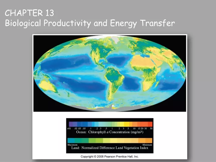 chapter 13 biological productivity and energy transfer