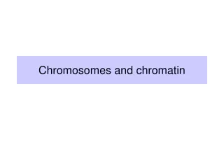 Chromosomes and chromatin