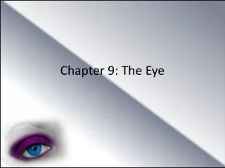 Chapter 9: The Eye