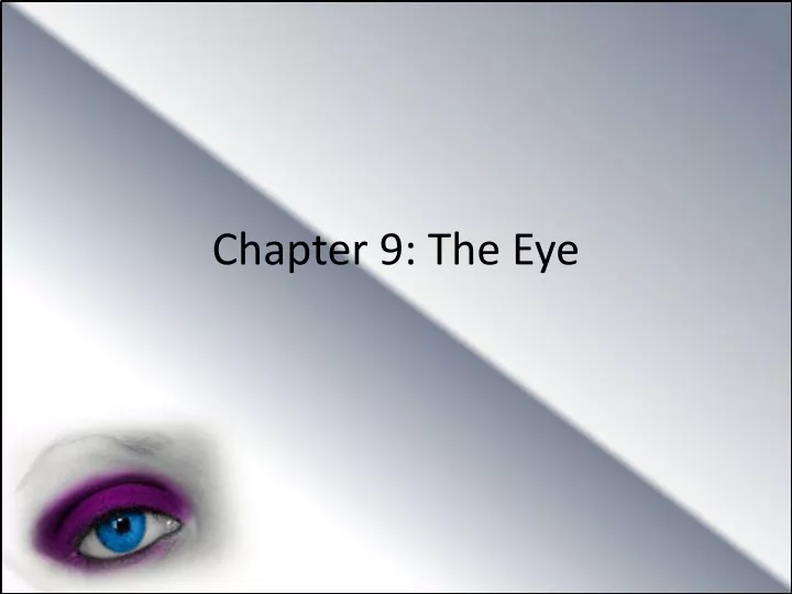 chapter 9 the eye