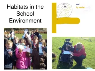 Habitats in the School Environment