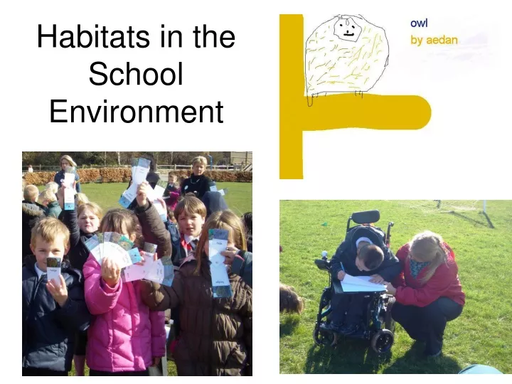 habitats in the school environment