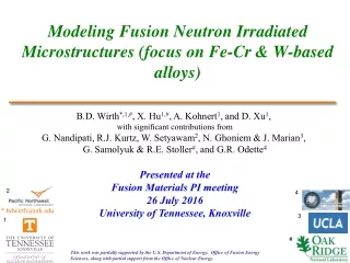 Modeling Fusion Neutron Irradiated Microstructures (focus on Fe-Cr &amp; W-based alloys)
