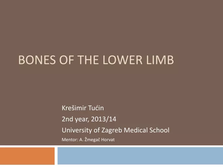 bones of the lower limb