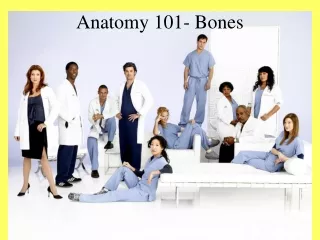 Anatomy 101- Bones
