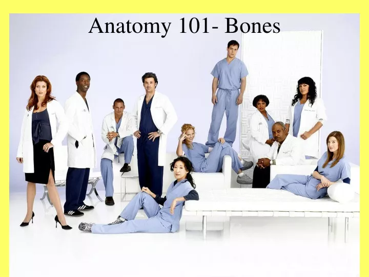 anatomy 101 bones