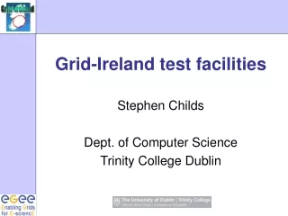 Grid-Ireland test facilities